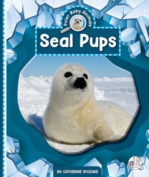 Seal Pups image number 0