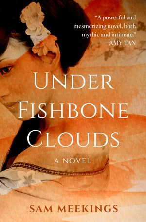 Under Fishbone Clouds image number 0