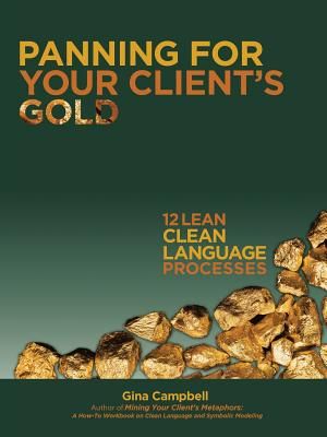 Panning for Your Client's Gold: 12 Lean Clean Language Processes image number 0