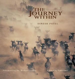 The Journey Within image number 0