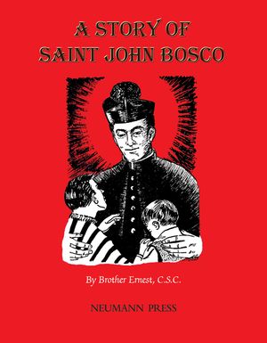 A Story of Saint John Bosco image number 0