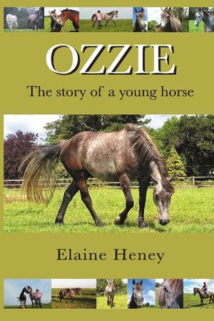 Ozzie - The Story of a Young Horse image number 0