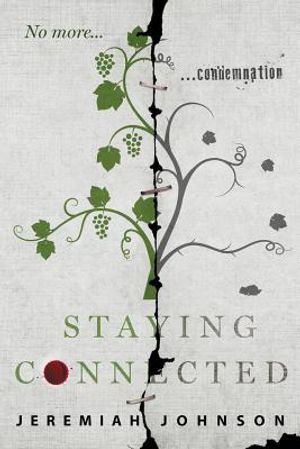Staying Connected: No more condemnation image number 0