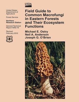 Field Guide to Common Macrofungi in Eastern Forests and Their Ecosystem Functions image number 0