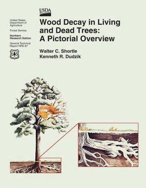 Wood Decay in Living and Dead Trees: A Pictorial Overview image number 0