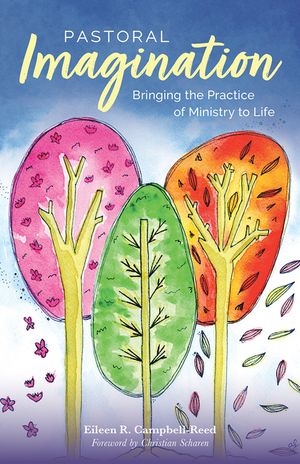 Pastoral Imagination: Bringing the Practice of Ministry to Life image number 0