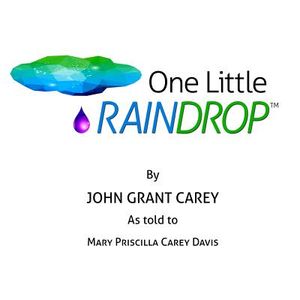 One Little Raindrop image number 0