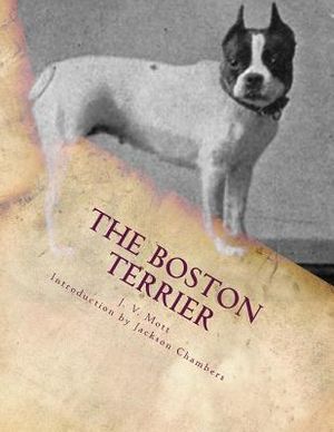 The Boston Terrier image number 0