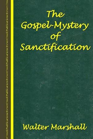 The Gospel-Mystery of Sanctification image number 0