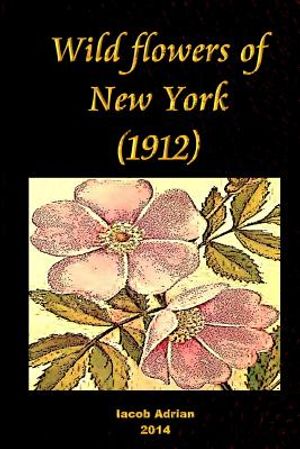 Wild flowers of New York (1912) image number 0