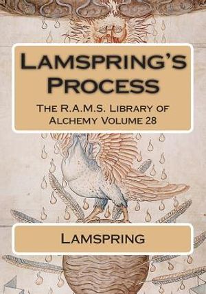 Lamspring's Process image number 0