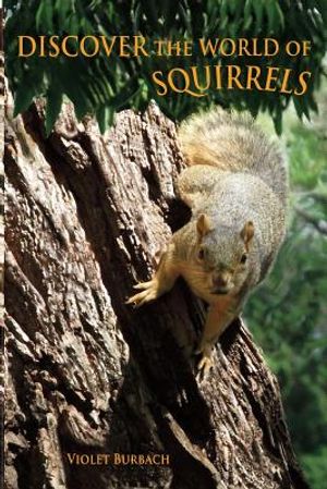 Discover the World of Squirrels: Illustrated Kids Book with Fun Facts about Squirrels and Builds Kids Vocabulary image number 0