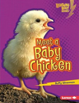 Meet a Baby Chicken image number 0
