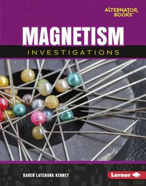 Magnetism Investigations image number 0