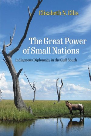 The Great Power of Small Nations: Indigenous Diplomacy in the Gulf South image number 0