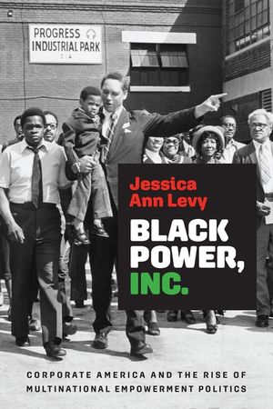 Black Power, Inc.: Corporate America and Empowerment Politics in the United States and South Africa image number 0