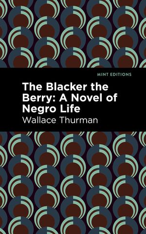 The Blacker the Berry: A Novel of Negro Life image number 0