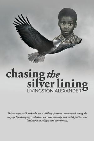 Chasing the Silver Lining image number 0