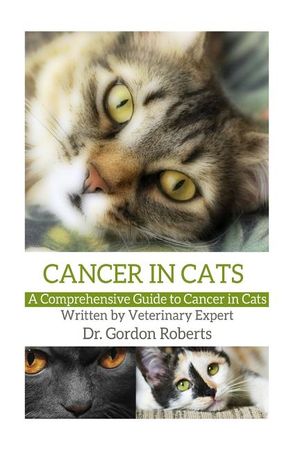 Cancer in Cats: A Comprehensive Guide to Cancer in Cats image number 0