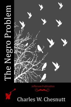 The Negro Problem image number 0
