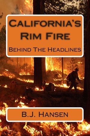 California's Rim Fire: Behind The Headlines image number 0