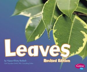 Leaves image number 0