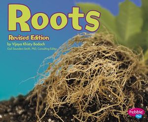 Roots image number 0