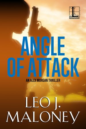 Angle of Attack image number 0