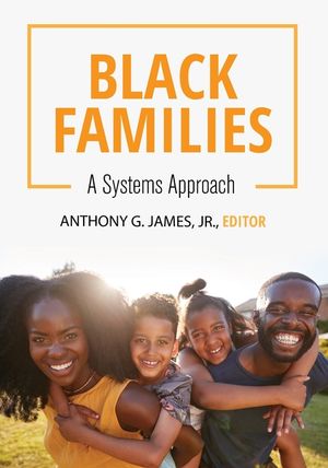 Black Families: A Systems Approach image number 0