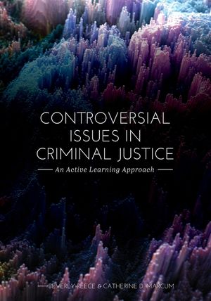 Controversial Issues in Criminal Justice: An Active Learning Approach image number 0