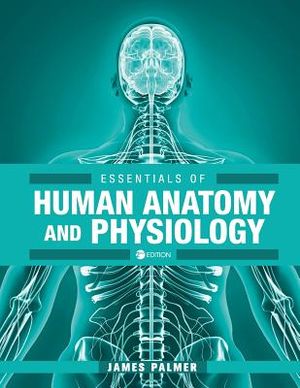 Essentials of Human Anatomy and Physiology image number 0