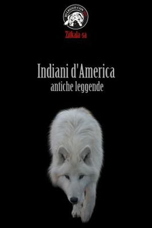 Indiani d'America - antiche leggende image number 0