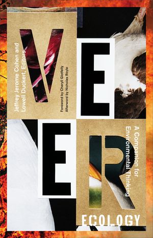 Veer Ecology: A Companion for Environmental Thinking image number 0