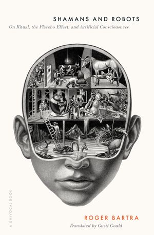 Shamans and Robots: On Ritual, the Placebo Effect, and Artificial Consciousness image number 0