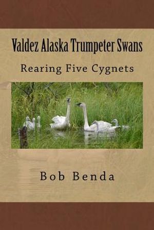 Valdez Alaska Trumpeter Swans: Rearing Five Cygnets image number 0