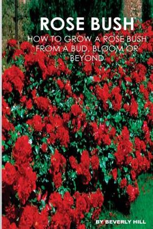 Rose Bush: Learn How To Grow A Rose Bush From A Bud, Bloom or Beyond image number 0