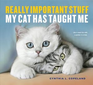 Really Important Stuff My Cat Has Taught Me image number 0