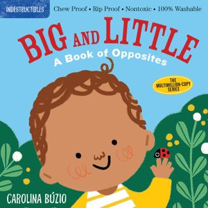 Indestructibles: Big and Little: A Book of Opposites: Chew Proof - Rip Proof - Nontoxic - 100% Washable (Book for Babies, Newborn Books, Safe to Chew) image number 0