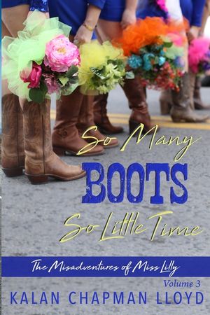 So Many Boots, So Little Time: A Southern chick-lit mystery image number 0
