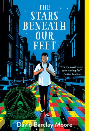 The Stars Beneath Our Feet image number 0
