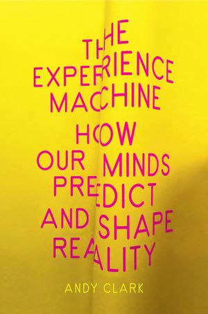 The Experience Machine: How Our Minds Predict and Shape Reality image number 0