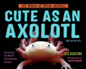 Cute as an Axolotl: Discovering the World's Most Adorable Animals image number 0