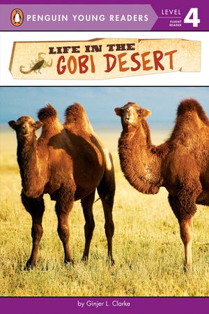 Life in the Gobi Desert image number 0