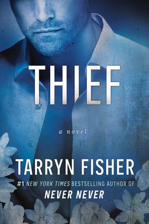 Thief image number 0