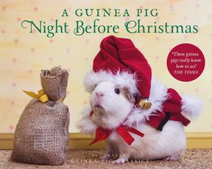 A Guinea Pig Night Before Christmas image number 0