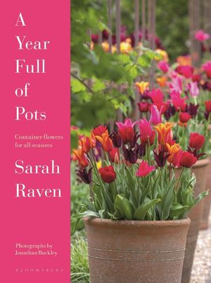 A Year Full of Pots image number 0