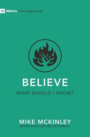 Believe - What Should I Know? image number 0