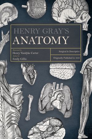 Henry Gray's Anatomy: Descriptive and Surgical image number 0
