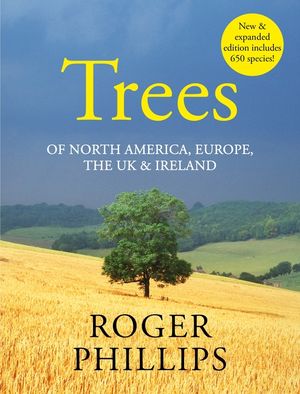 Trees in Britain image number 0