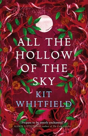 All the Hollow of the Sky: An Enthralling Novel of Fae, Folklore and Forests image number 0